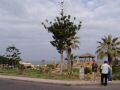 P1010135.JPG