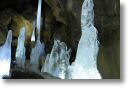 _DSC4209.jpg