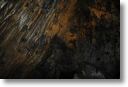 _DSC3884.jpg