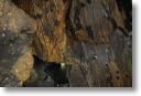 _DSC3900.jpg