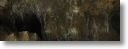 Pano_5.jpg