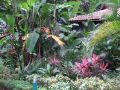 DSCF0981.JPG