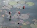 DSCF1035.JPG