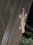 DSCF1057.JPG