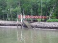 DSCF1146.JPG