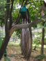 DSCF0708.JPG