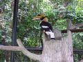 DSCF0713.JPG