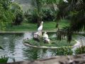 DSCF0719.JPG