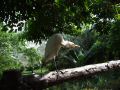 DSCF0723.JPG