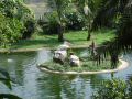 DSCF0725.JPG