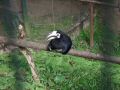 DSCF0730.JPG