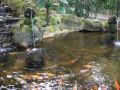 DSCF0733.JPG