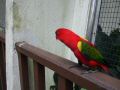 DSCF0743.JPG
