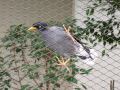 DSCF0757.JPG