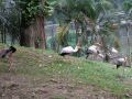 DSCF0781.JPG