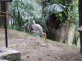 DSCF0784.JPG