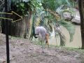 DSCF0786.JPG