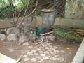 DSCF0802.JPG