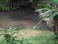 DSCF0810.JPG
