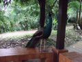 DSCF0813.JPG