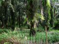 DSCF0467.JPG