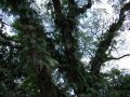 DSCF0579.JPG