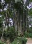 DSCF0581.JPG