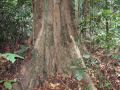 DSCF0585.JPG