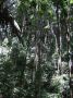 DSCF0586.JPG