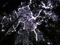 DSCF0589.JPG