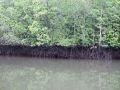 DSCF1193.JPG