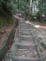 DSCF0600.JPG