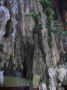 DSCF0639.JPG