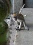 DSCF0668.JPG