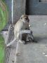 DSCF0669.JPG