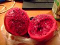 DSCF0819.JPG