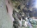 DSCF3304.JPG