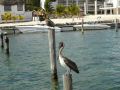DSC06972.JPG