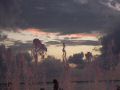DSCF3542.JPG