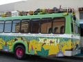 DSC06895.JPG