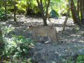 DSC06919.JPG