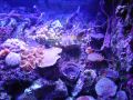 DSC06922.JPG