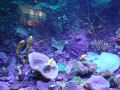 DSC06923.JPG
