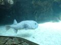 DSC06933.JPG
