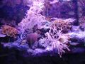 DSC06935.JPG