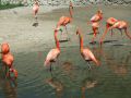 DSCF3367.JPG