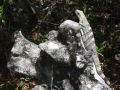 DSCF3385.JPG