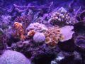 DSCF3411.JPG