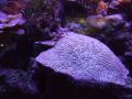 DSCF3413.JPG