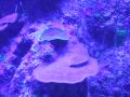 DSCF3435.JPG
